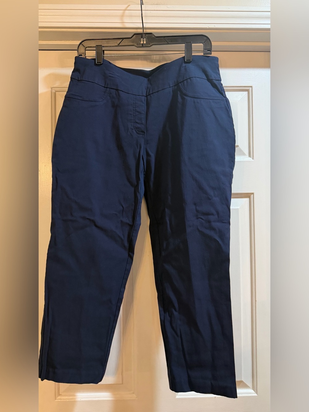 Ruby Red. Straight Leg Navy Pants Size 14P hip to hip 16.5